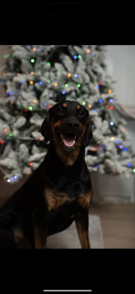 Roxy